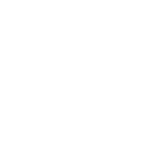 Security Service white icon