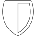 IT security icon